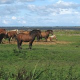 0709F 063 Travemuende-Usedom